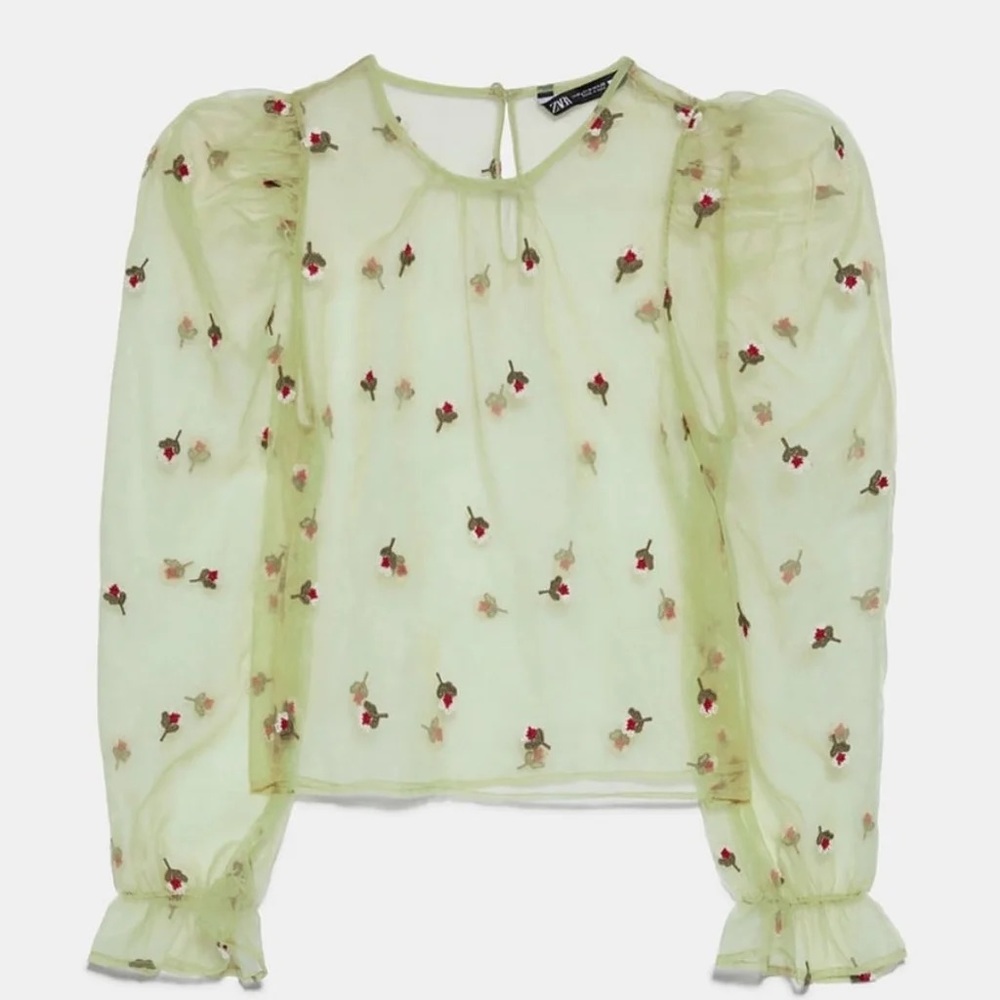 Zara: green sheer top